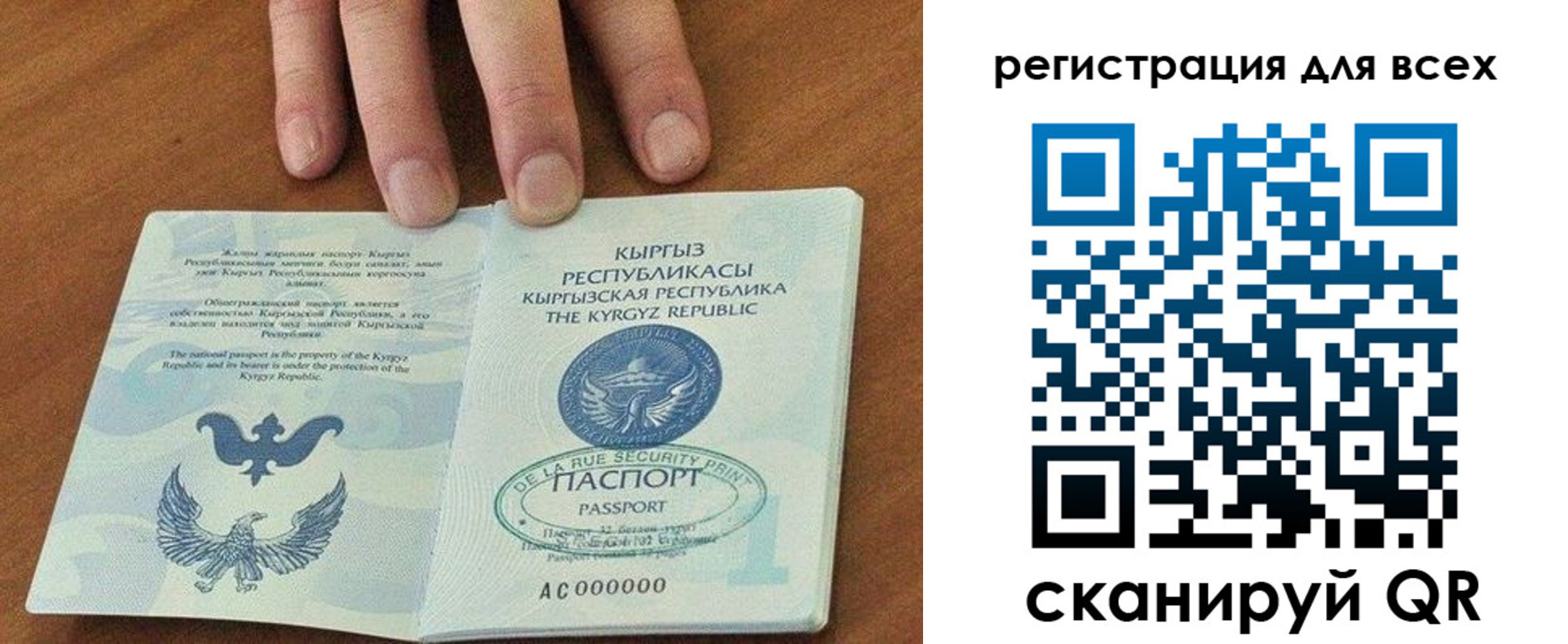 прописка для школы в Волоколамске