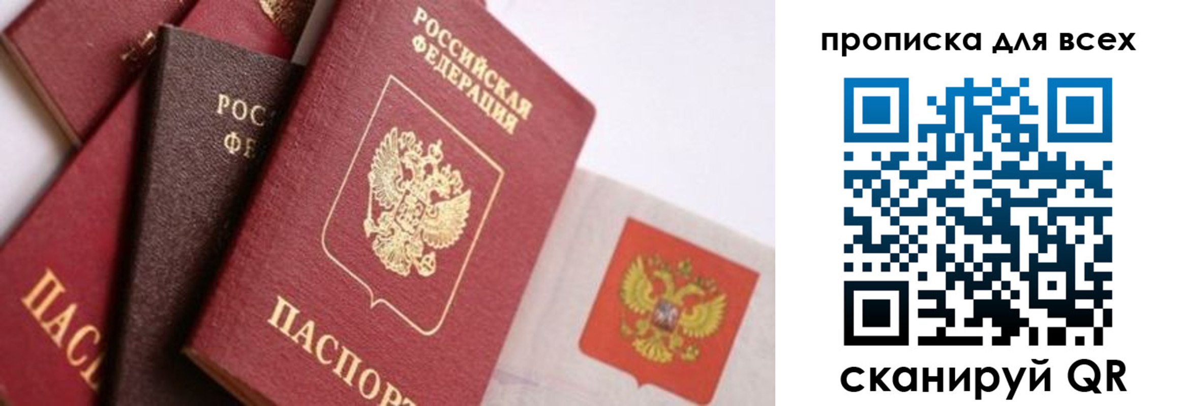 временная регистрация поиск в Волоколамске